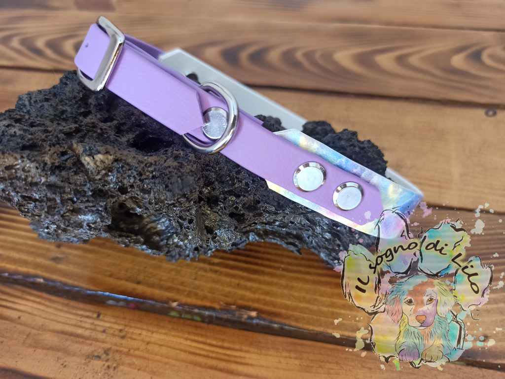 Collare in Biothane due colori Acqurello - immagine 2