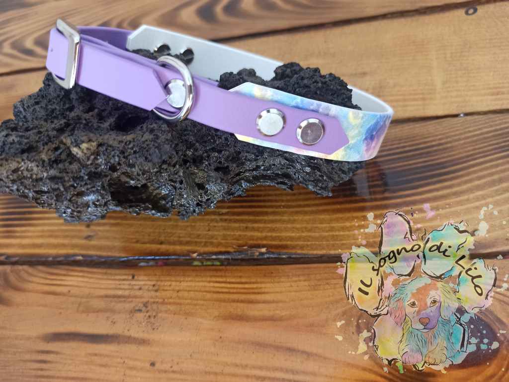 Collare in Biothane due colori Acqurello - immagine 6