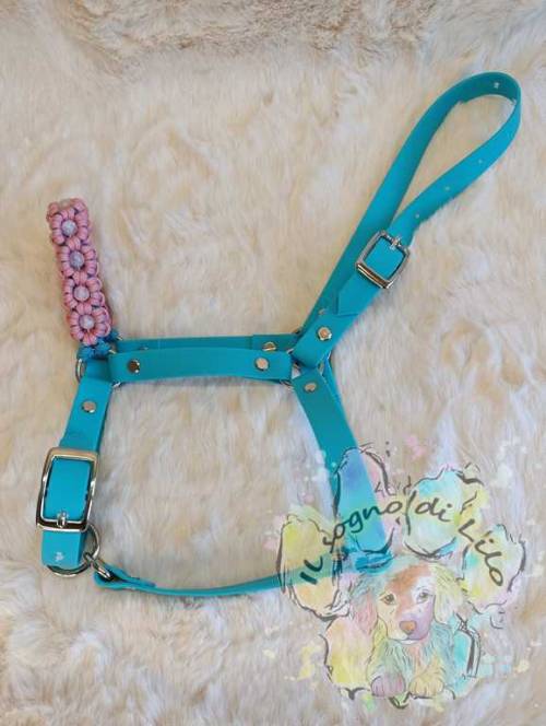 Cavallo